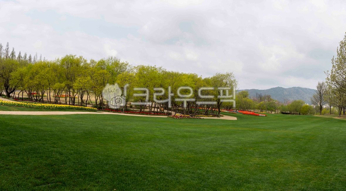 sky,greenfield,new leaf,garden tree,sprout,tree,grassland,mountain,tree trunk,panorama,field,light green,grass,colonnade,garden,lawn,park