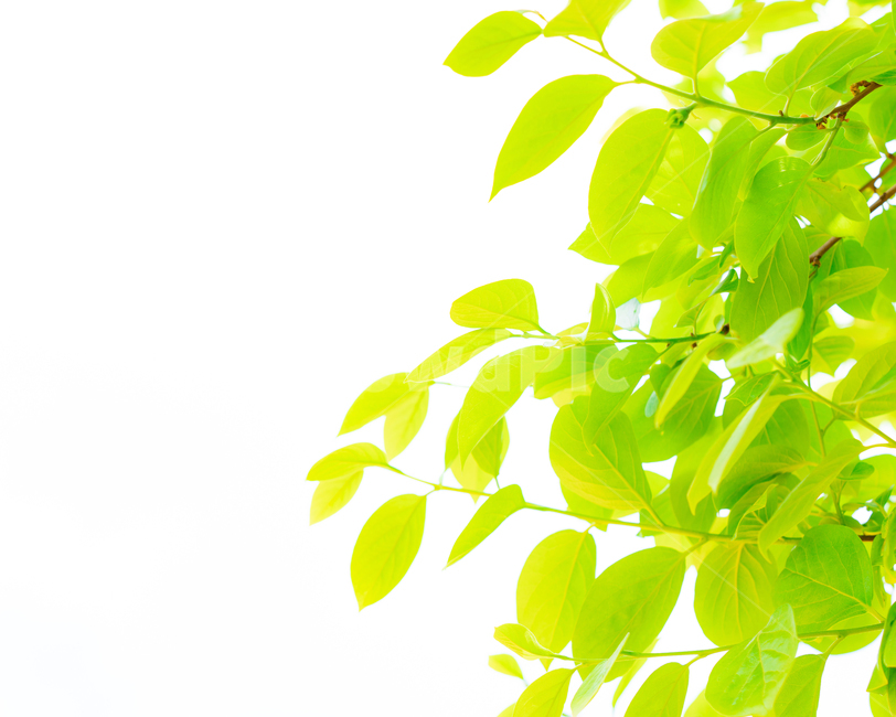 풍경사진,풍경,가을,단풍,하늘,배경화면,색감,tree,나무,maspicsyou,jmas,화분,pottedplant,항아리,jar,병장식,vase,도기류,pottery,식물,plant,잎,leaf,가을,계절,fall,autumn,season,병 장식,potted plant