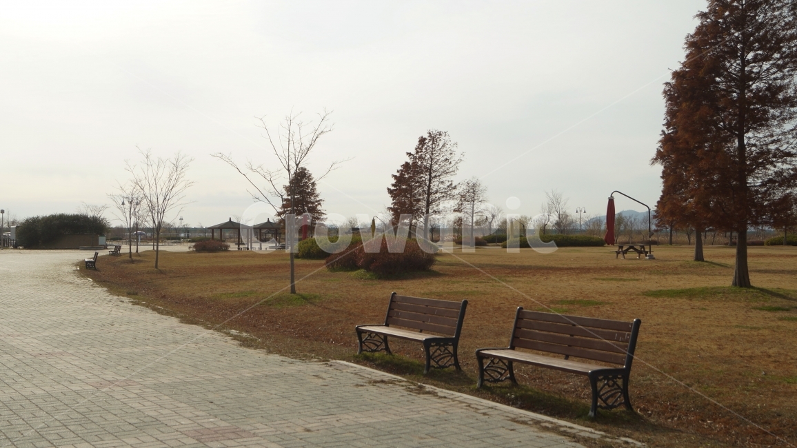 산책길,공원,의자,산책,길,가을,계절,fall,autumn,season,furniture,가구,bench,벤치