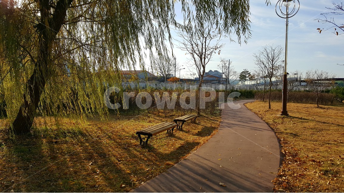 풍경,자연,버드나무,산책길,공원,봄,spring,도시,풍경,city,landscape,한국도시풍경,한국도시경관,korea cityscape,휴식,힐링,rest,relaxation,healing,path,통로