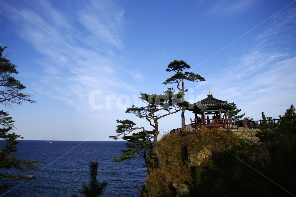 하늘,구름,소나무,나무,풍경,바다,자연,풍경,nature,landscape,한국자연풍경,한국자연경관,korea nature landscape,outdoors,옥외,land,땅