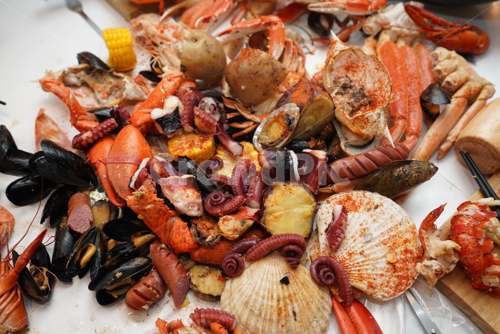 해산물,먹거리,음식,food,식사,안주,안주거리,컬러,색감,seafood,랍스터,animal,lobster,해물,음식,식재료,요리,food,cook,meal,dishes,food reserves,수산물,해산물,fishery products,seafood