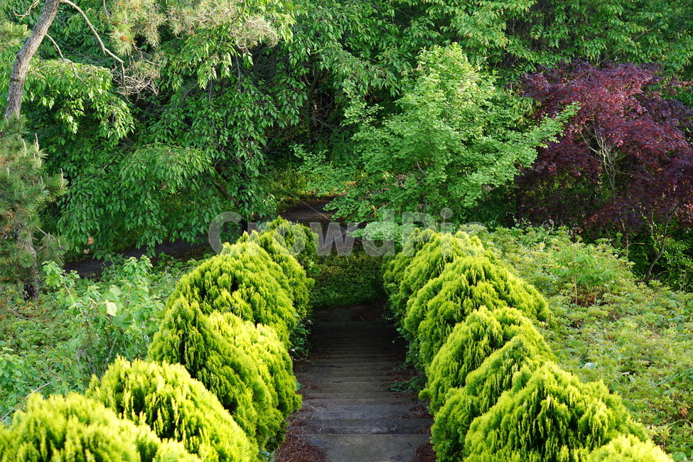 산,마을,풍경,나무,하늘,자연,자연,풍경,nature,landscape,plant,식물,outdoors,옥외