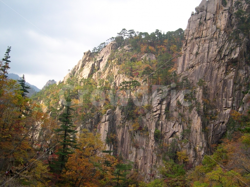 설악산,단풍,가을,국립공원,산,기암절벽,바위,자연,풍경,자연,풍경,nature,landscape,가을,계절,fall,autumn,season,outdoors,옥외,cliff,낭떠러지