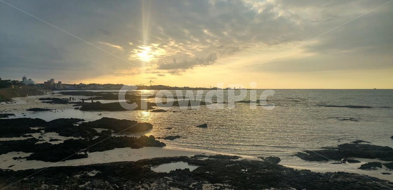 풍경,제주도,바다,해변,바람,풍력발전소,태양,해