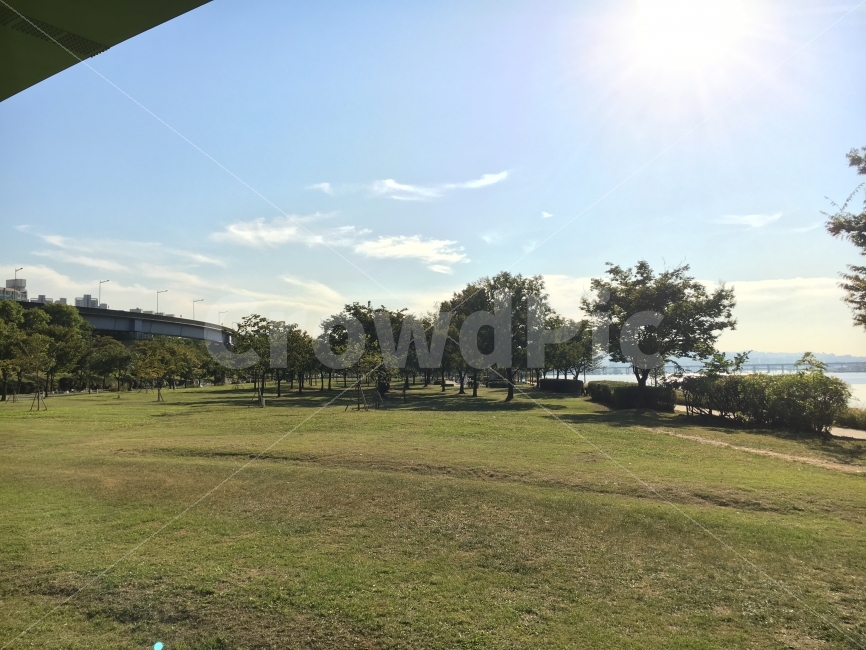 한강,잠원지구,화창한,여름,가을,자연,풍경,nature,landscape,outdoors,옥외,field,들