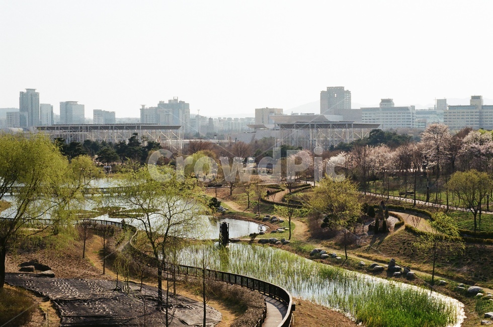 수목원,공원,나무,호수,자연