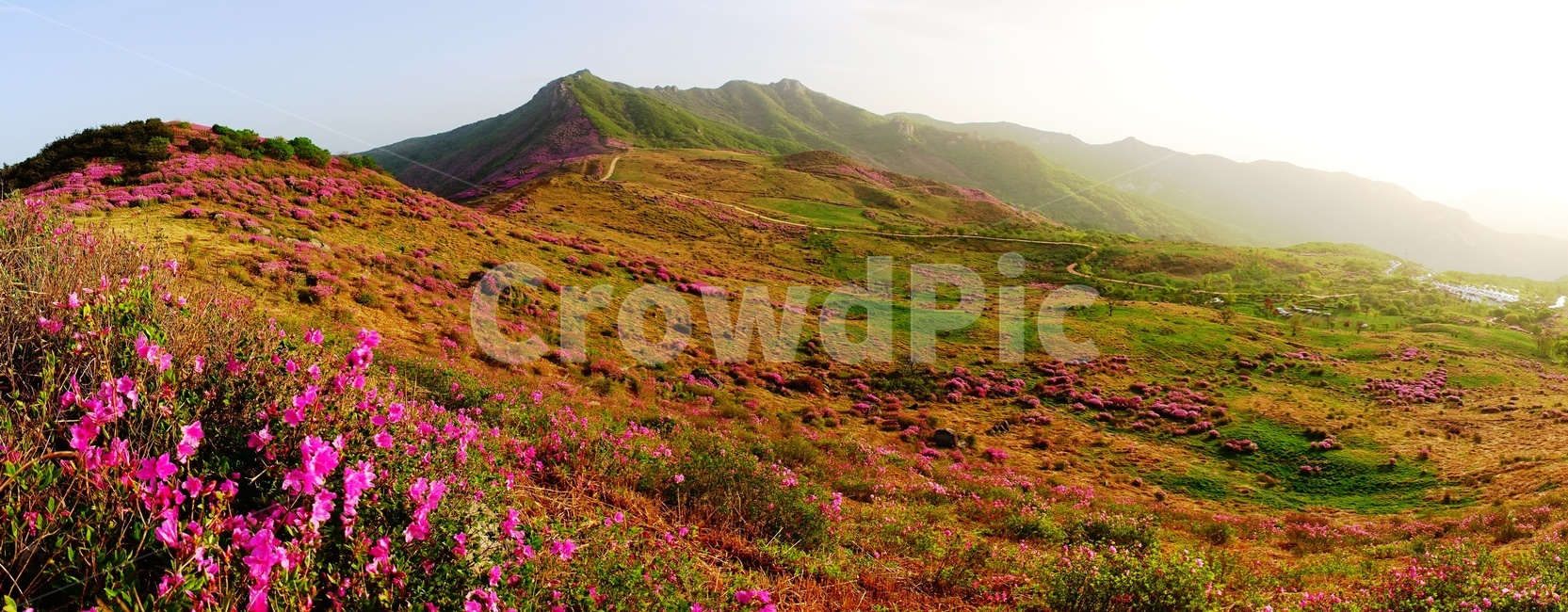 황매산,철쭉,봄,꽃동산,합천,봄,계절,spring,season,자연,풍경,nature,landscape,outdoors,옥외