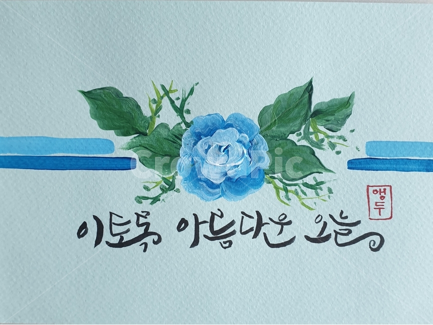 text,본문,엽서캘리그라피,파란장미,꽃그림