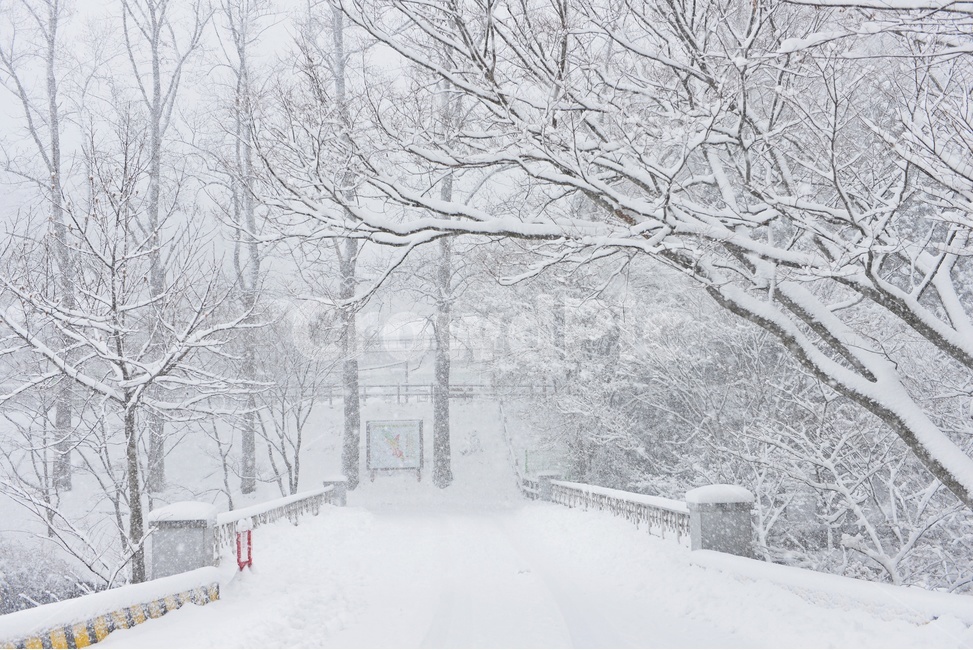 장성,입암산성,남창게곡,설경,남창계곡설경,storm,폭풍,tree,나무,plant,식물,ice,빙,snow,눈,winter,겨울,nature,자연,outdoors,옥외,blizzard,눈보라,겨울,계절,winter,season,자연,풍경,nature,landscape