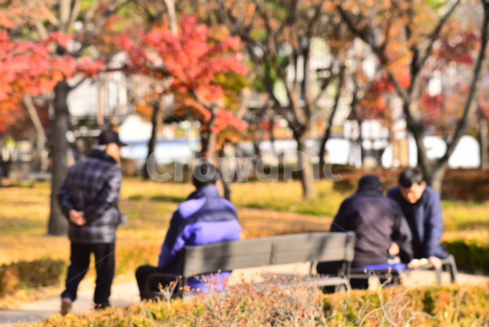 노인,노인네,외로움,고독,쓸쓸함,소외,장년,노년,silver,노인문제,고령화사회,공원,파크,야외,옥외,outdoor,초고령사회,배경,바탕,백그라운드,사회문제,실버세대,무료함,사람,인물,인간,human,person,노인,어르신,old man, senior citizen