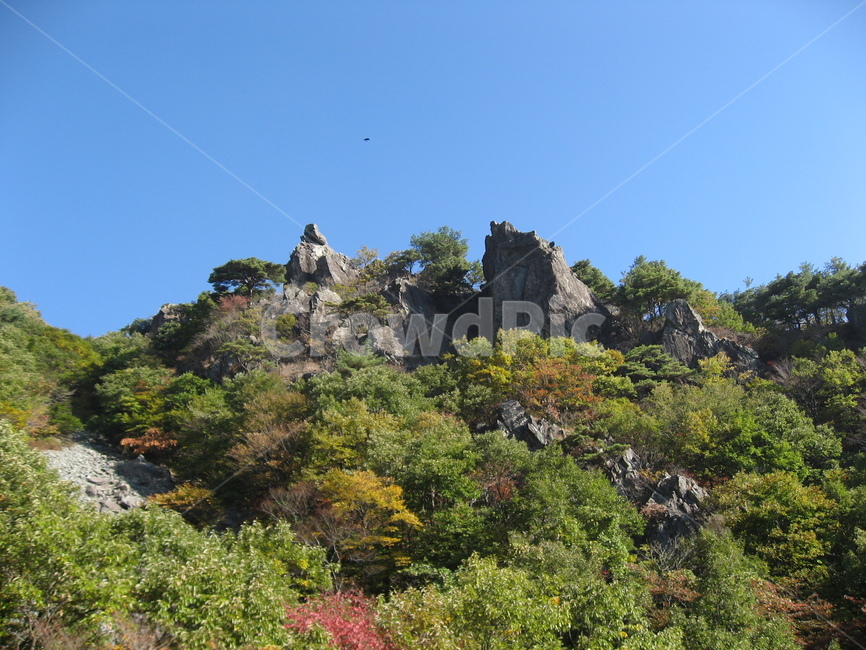 nature,자연,outdoors,옥외,cliff,낭떠러지,천성산,단풍,나무,식물,바위,가을,하늘,가을하늘,가을,계절,fall,autumn,season,자연,풍경,nature,landscape