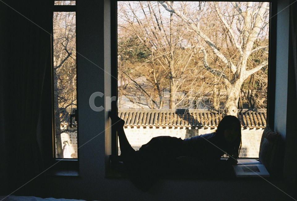 오후,창문,창밖풍경,감성사진,분위기,겨울,tree,human,사람,휴식,여유,couch