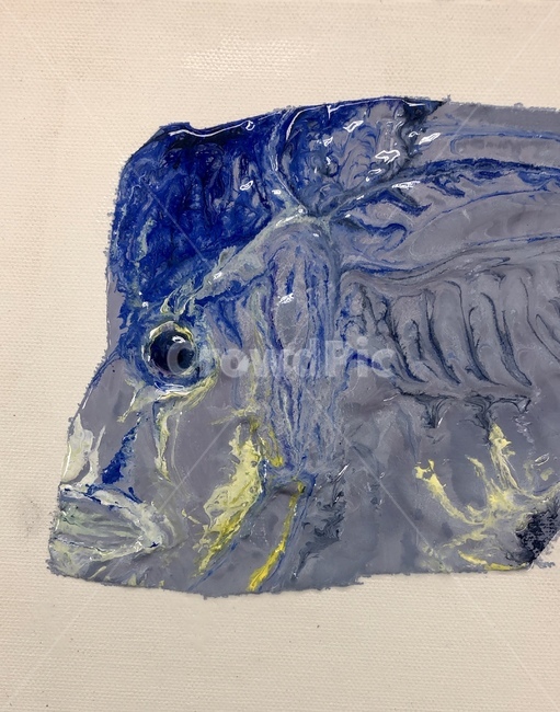 일러스트,illustration,물고기,유화,oilpaint,oilpating,fish,art