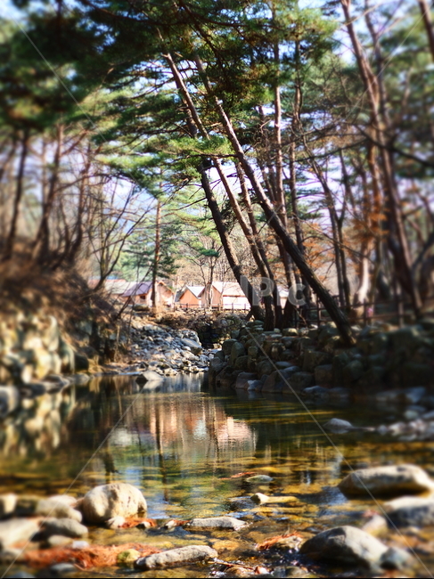 숲,집,텐트,cabin,woods,forest,stream,휴양림