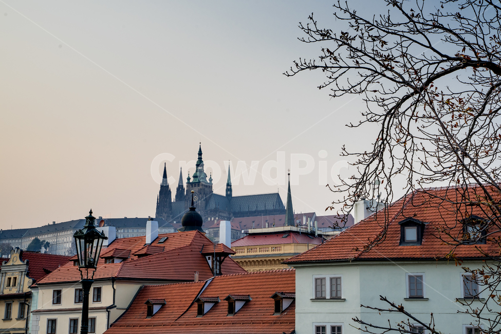 prague,praha,프라하,성벽,프라하성,나무,가지,지붕,tree,fall,가을,도시,풍경,city,landscape,해외,외국,세계,foreign,oversea,world,세계도시풍경,해외도시풍경,외국도시풍경,world cityscape,roof,architecture,건축물,steeple,뾰족한 탑,building,건물,spire,첨탑,tower,탑