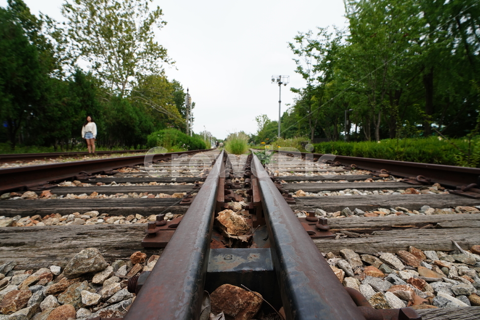 철도,레일,길,road,교통,기찻길,transportation,rail,railway