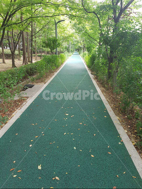푸른자연,숲길,숲속길,숲속산책로,힐링포인트,자연,풍경,nature,landscape,asphalt,아스팔트