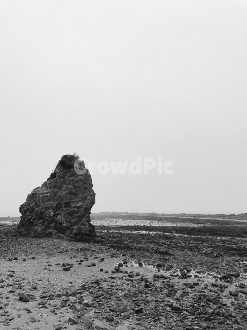 흑백,서해,겟벌,바다,시흥,자연,풍경,nature,landscape,한국자연풍경,한국자연경관,korea nature landscape,흑백,모노톤,monochrome,black and white,ground,바닥