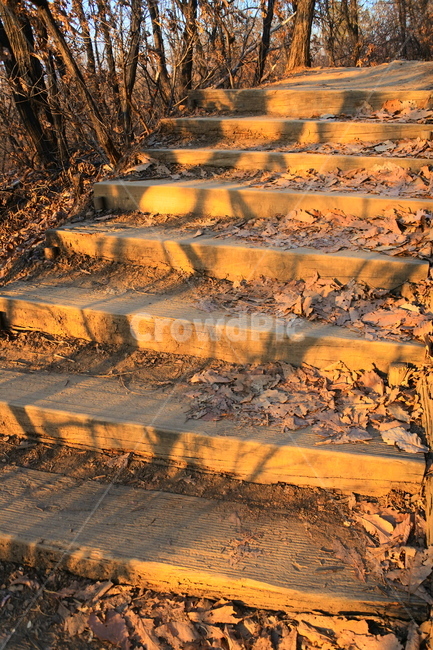soil,흙,nature,자연,바닥,계단,가을,계절,fall,autumn,season,자연,풍경,nature,landscape,outdoors,옥외,sand,모래,ground