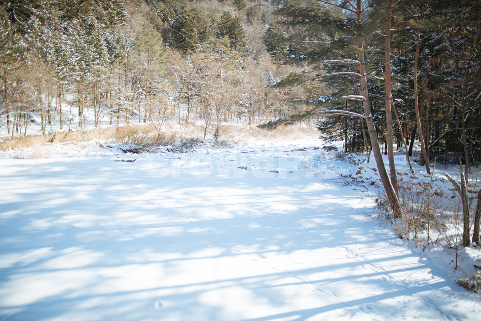 겨울,눈,스냅,감성,풍경,겨울,계절,winter,season,자연,풍경,nature,landscape,outdoors,옥외