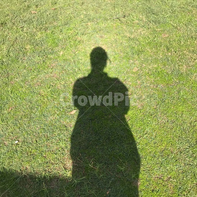 잔디,그림자,햇빛,초록색,날좋은날,인물실루엣,사람실루엣,character silhouette,human silhouette,grass,plant,식물