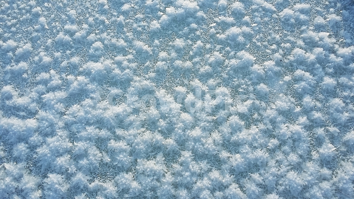 겨울,눈꽃,자연현상,아름다움,얼음,아이스,신비로움,추운겨울,겨울,계절,winter,season,텍스처,질감,패턴,texture,pattern