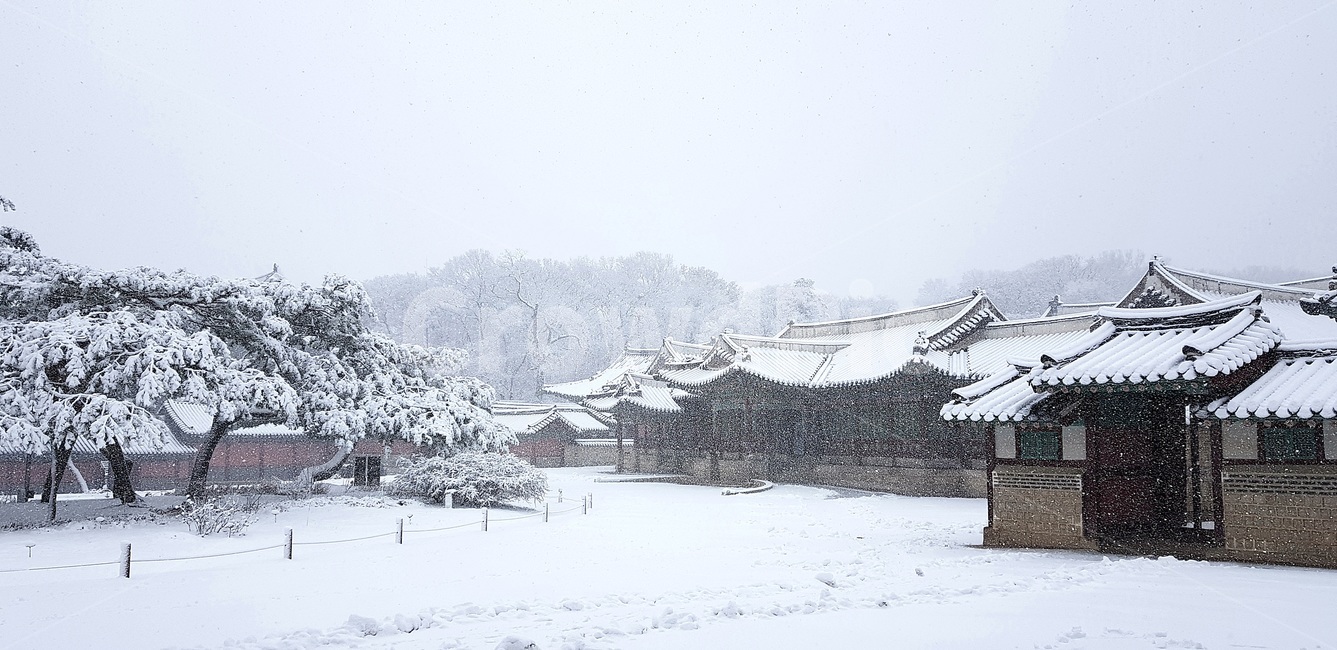 창덕궁,설경,첫눈,서설,고궁,palace,firstsnow,changdeokgungpalace,겨울,계절,winter,season,한국전통,한국문화,korean traditional,korean culture,랜드마크,landmark,tourist attraction,한국랜드마크,한국관광지,한국명소,korea landmark,korea tourist attraction,건축물,건물외관,exterior,building,structure,architecture,construction