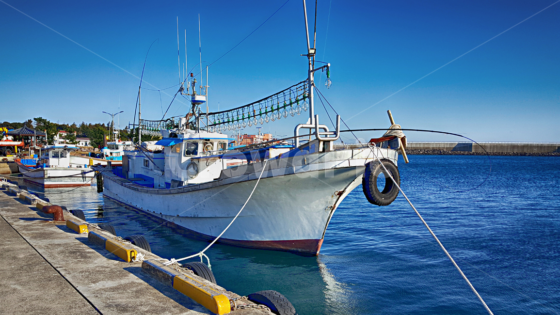 어선,항구,위미항,선박,교통,port,포트,바다,배,보트,boat,어업,fishery,fishing industry