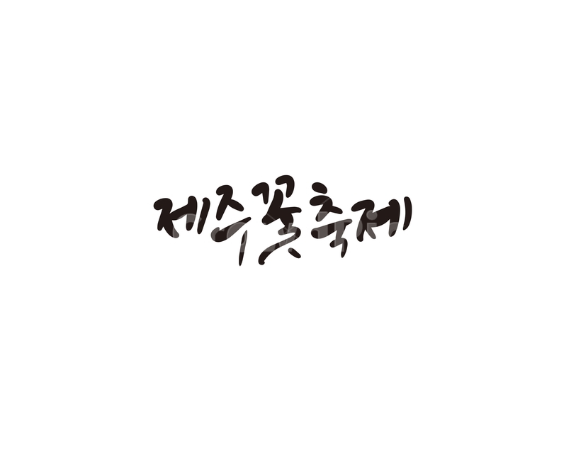 캘리,캘리그라피,제주,제주도,꽃,꽃축제,제주꽃축제,손글씨,캘리그라피,손글씨,calligraphy