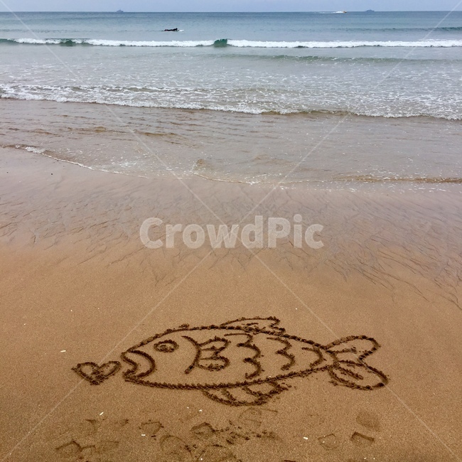 바다,모래,해수욕장,붕어,제주도,해변,바다,beach,sea