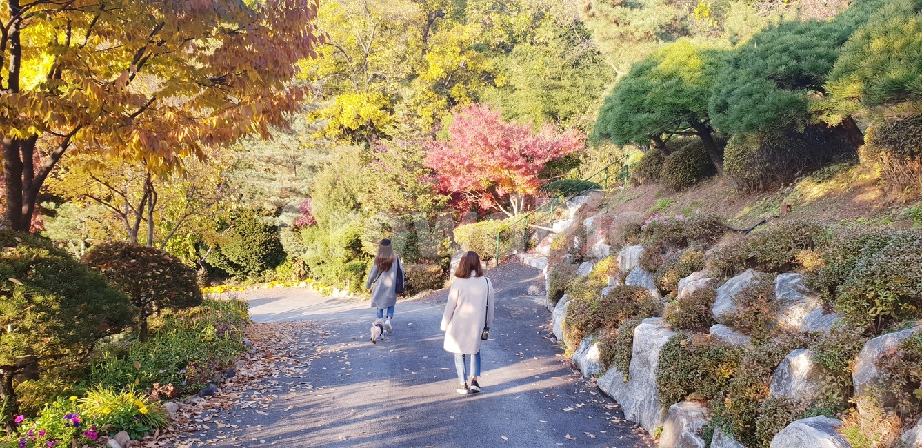 가을길,단풍,가을,두여자,길위에여자,여성,여자,woman,female,lady