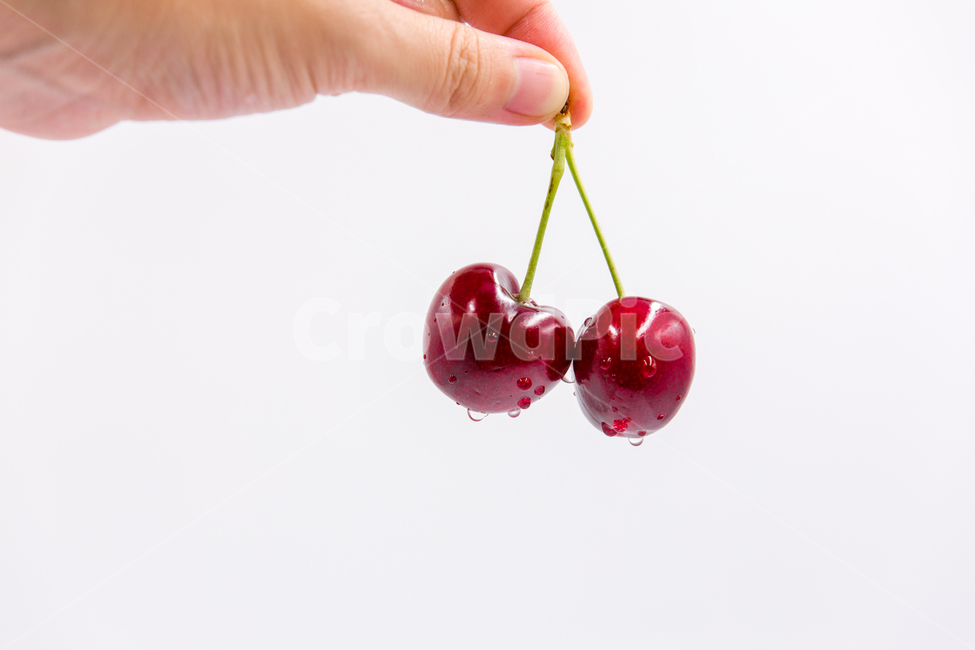 체리,과일,베리,열매,cherry,빨강색,red,디저트,음식,cook,foodreserves,fruit,컨셉,연출,누끼,과일,열매,fruit,누끼,remove background