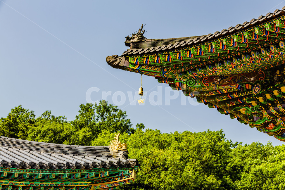 대광사,불교,사찰,절,단청,추녀,처마,고건축,한옥,전통건축,건축물,전통문화,무늬,기와지붕,하늘,풍경,한국전통,한국문화,korean traditional,korean culture,건축물,건물외관,exterior,building,structure,architecture,construction