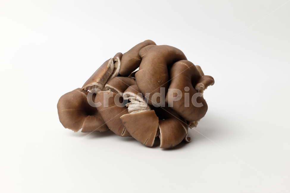 버섯,느타리버섯,식용,채소,음식,식품,재료,균,날것,신선함,채식,건강한,자연,버섯,mushroom