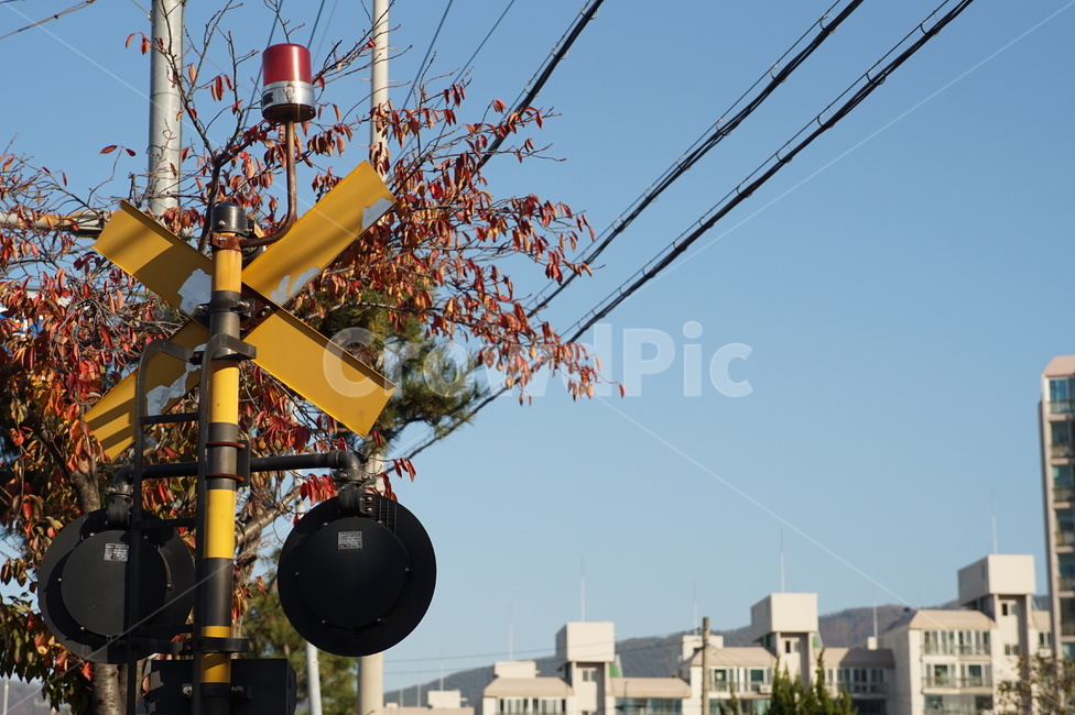 철길,신호등,전선,케이블,멈춤,교통,교통수단,traffic,transportation