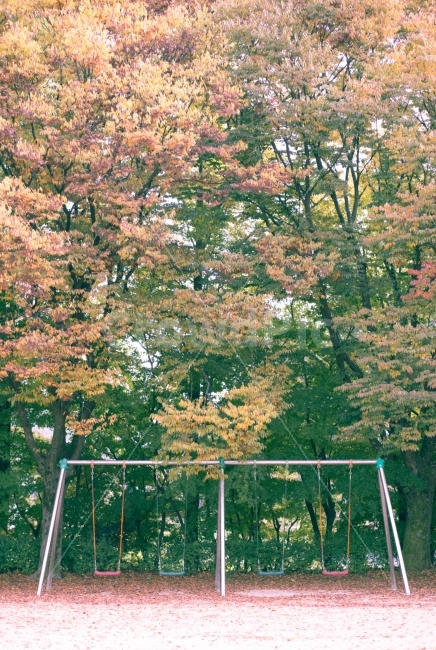 놀이터,그네,단풍,휴식,쌍둥이,힐링,가을,식물,자연,plants,nature,나무,trees,wood,놀이공원,놀이동산,놀이터,amusement park,playground