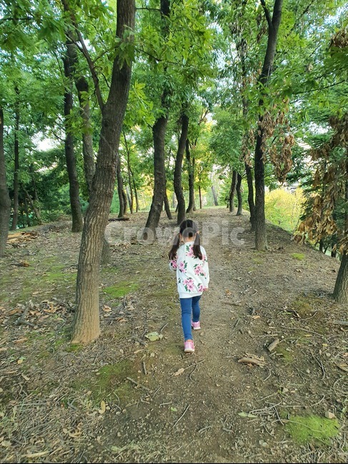 아이,뒷모습,나무,숲,사람,사람,인물,인간,human,person,어린이,어린아이,child,children,kid