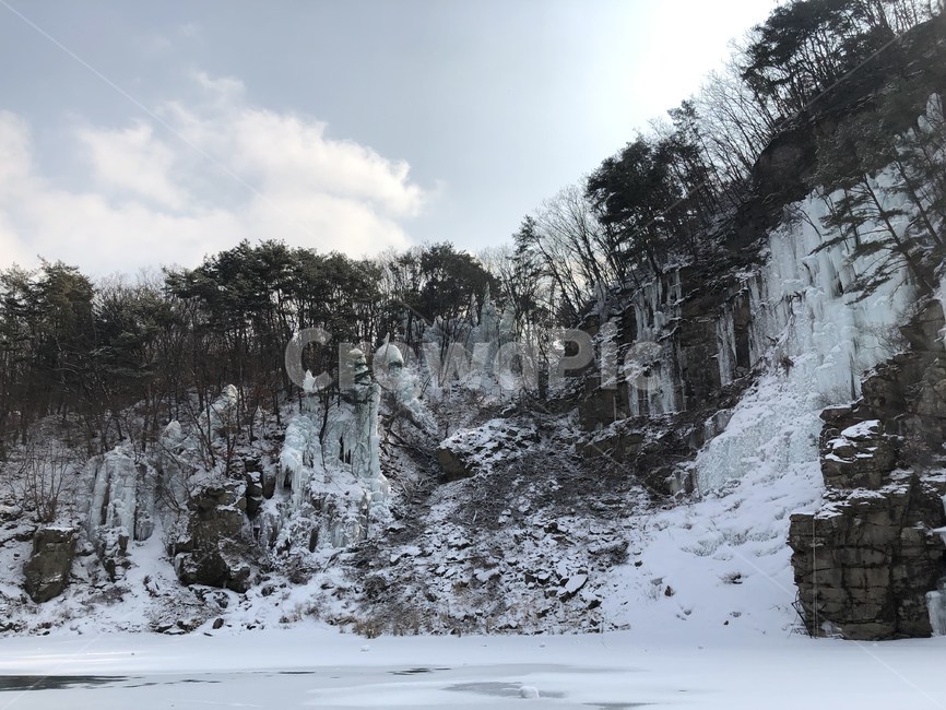 자연,눈,겨울,환경,풍경,겨울,계절,winter,season,자연,풍경,nature,landscape,한국자연풍경,한국자연경관,korea nature landscape,tree,나무,plant,식물,fir,전나무,abies,아비