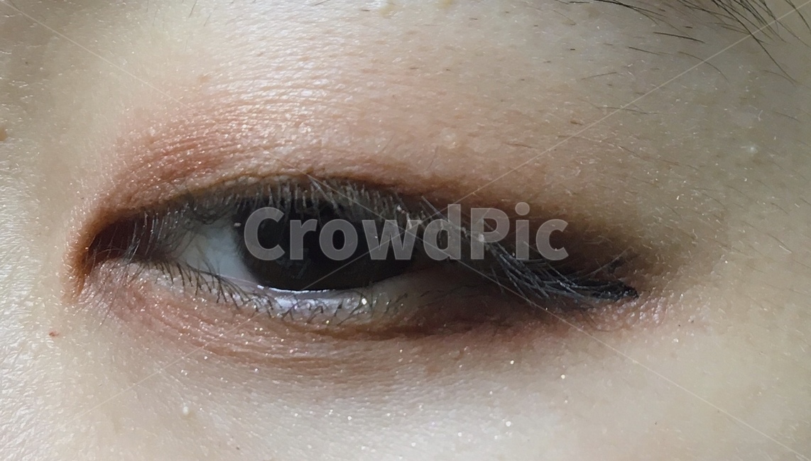 눈,화장,피부,얼굴,섀도우,skin,makeup,eye,메이크업,신체일부,몸,body,뷰티,미용,beauty treatment