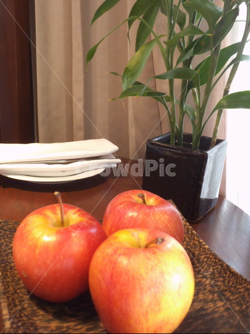 사과,과일,빨간사과,정물화,애플,apple,음식,식재료,요리,food,cook,meal,dishes,food reserves,과일,열매,fruit