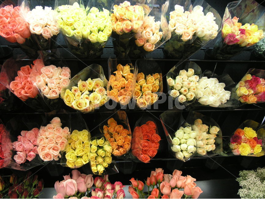 꽃,꽃다발,꽃집,장미,튤립,색깔,color,flower,식물,자연,plants,nature,꽃,flower,기념일,축하,anniversary,congratulation,celebrate,celebration