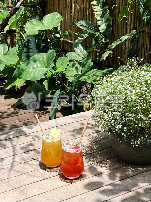 딸기주스,사과주스,주스,음료,꽃,안개꽃,자연,식물,정원,flower,plant,juice,garden