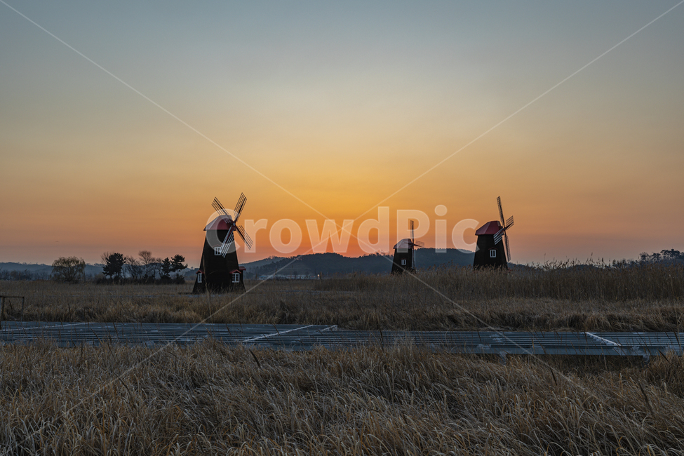 일출,생태공원,풍차,하늘,갈대,공원,sunrise,wind,netherlands,nature,windmill,sky,reed
