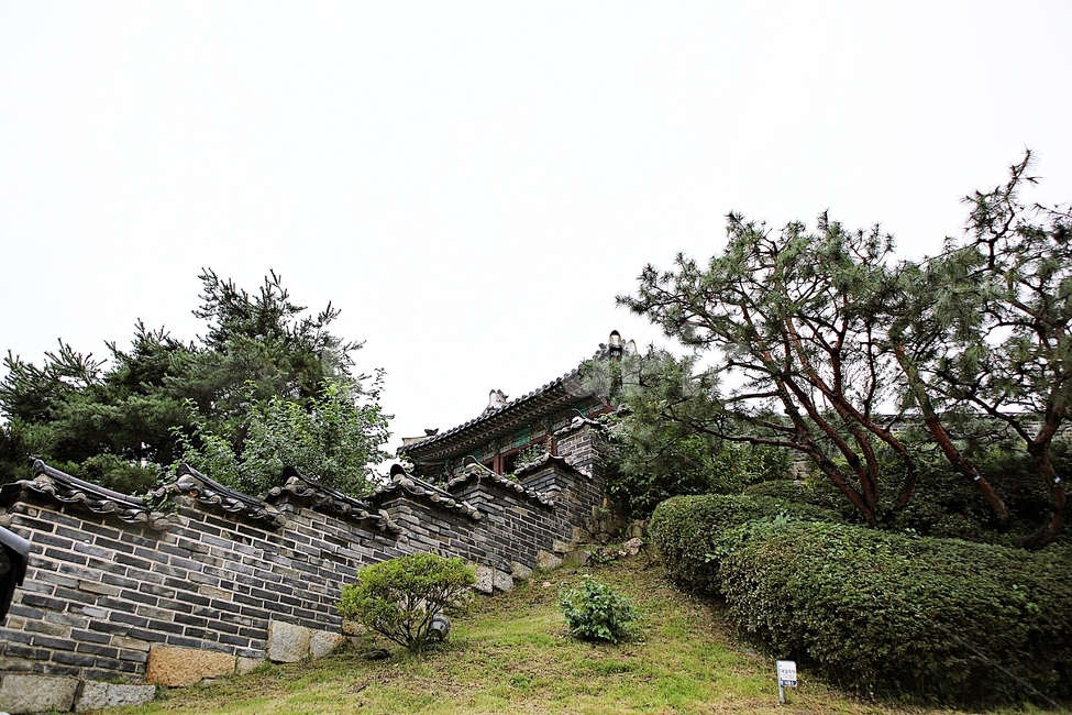 수원화성,성,성곽,길,둘레길,돌담,가을,담,자연,풍경,벽,방어벽,식물,전통,한국전통,한국문화,korean traditional,korean culture