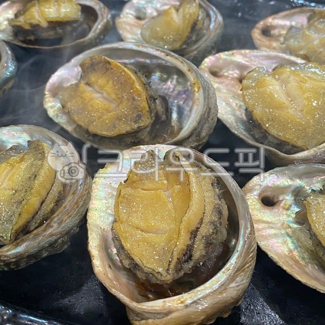 marine plants,shellfish,Abalone shell,Steamed abalone,abalone