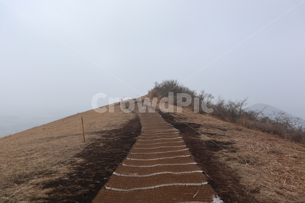 제주도,나무,풍경,soil,outdoors,모래언덕,옥외,slope,경사,sand,모래,자연,dune,nature,오름,자연,풍경,nature,landscape,흙,모래 언덕