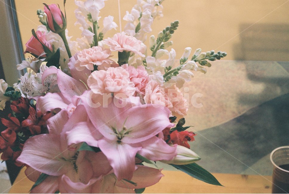 꽃,카페,봄,햇살,커피,꽃,flower,실내용화초,화분,화초,house plant,감성,sensible,feeling,인테리어,실내디자인,interior design