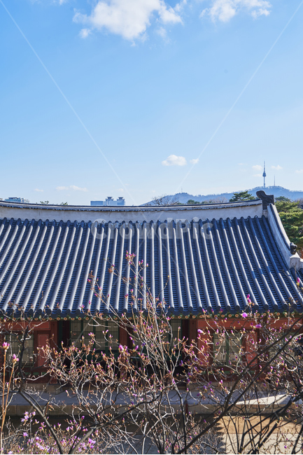 창경궁,한옥,궁궐,한국전통,고궁,랜드마크,기와