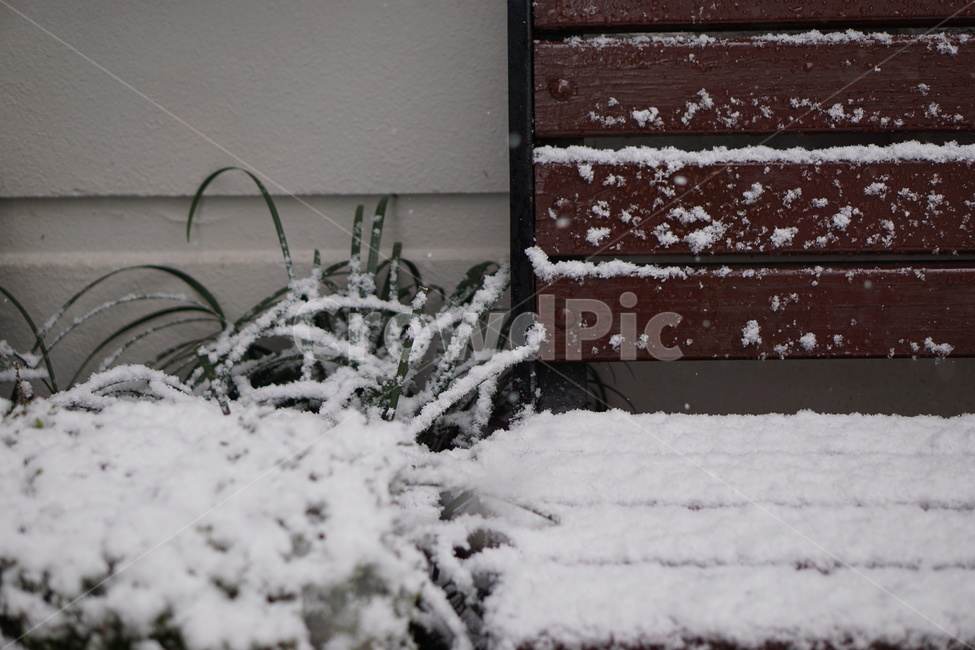 눈,폭설,snow,nature,outdoors,옥외,winter,storm,눈보라,겨울,계절,winter,season